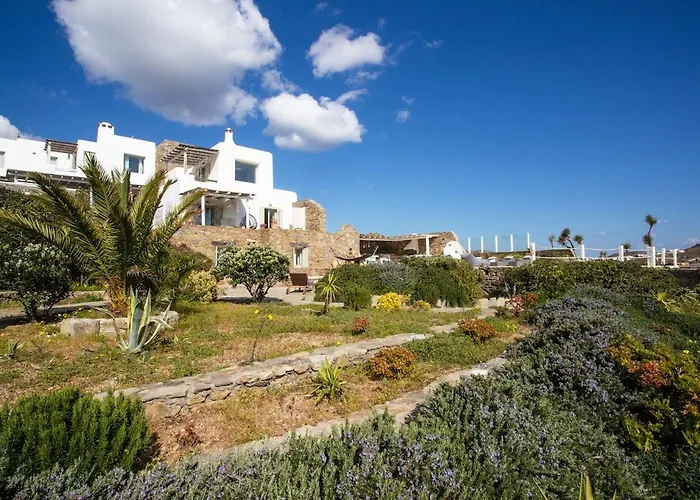 Your Private Mykonos Vila